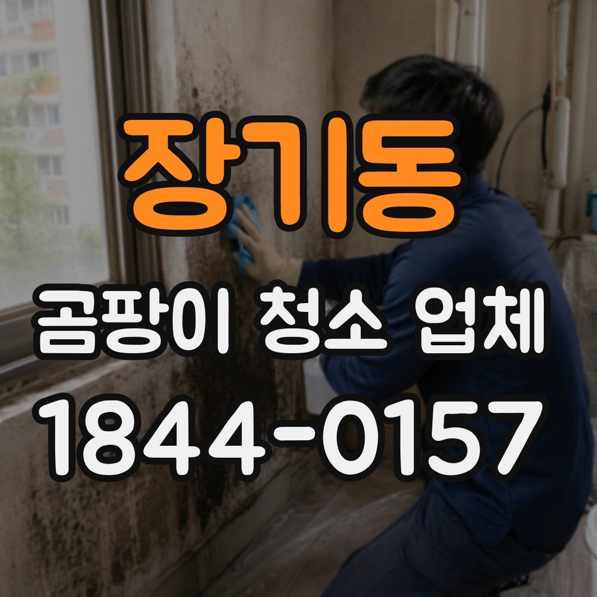 장기동 곰팡이 청소 업체