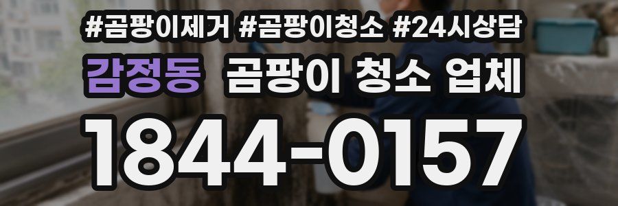 감정동 곰팡이 청소 업체