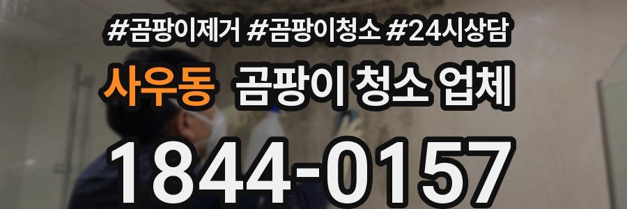 사우동 곰팡이 청소 업체