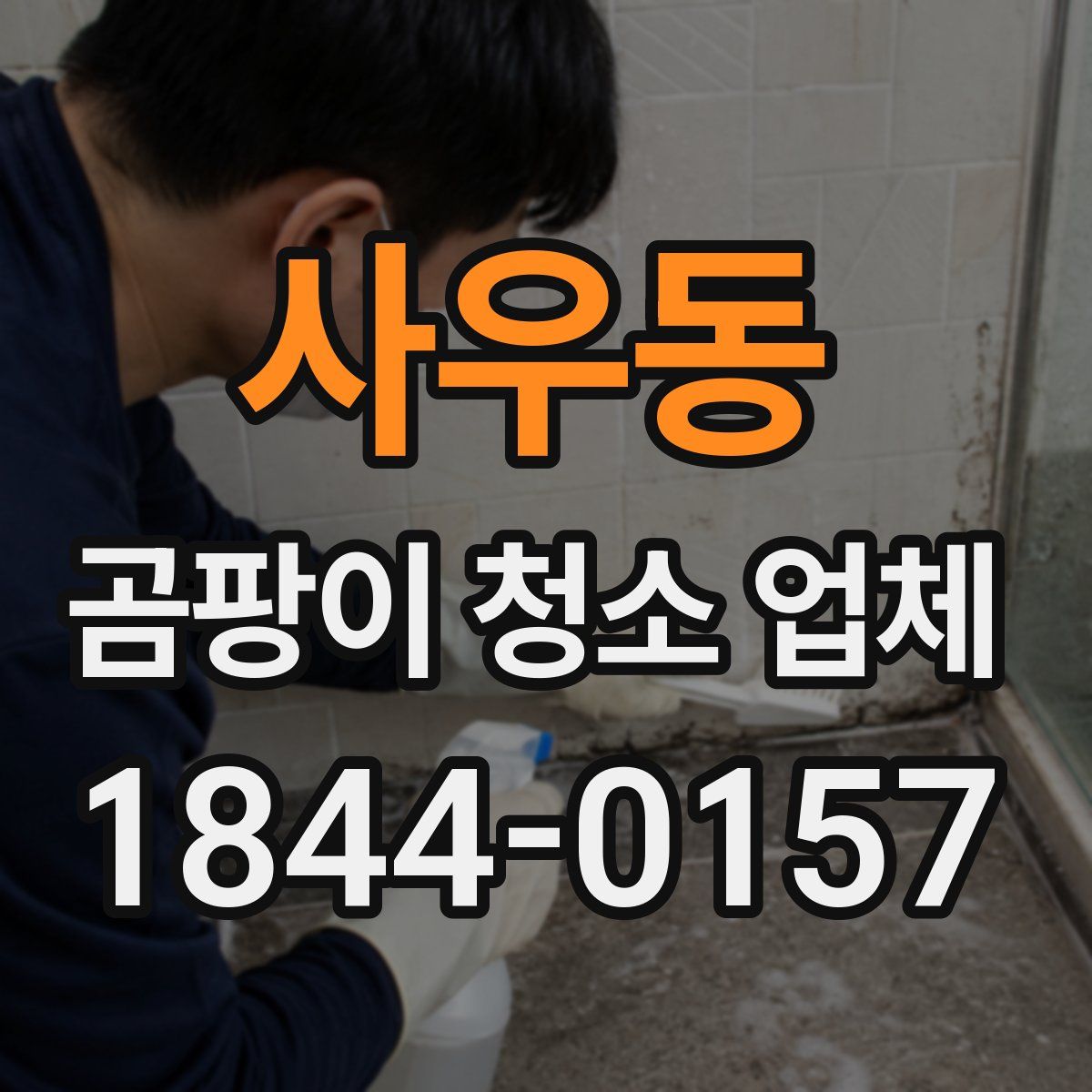 사우동 곰팡이 청소 업체
