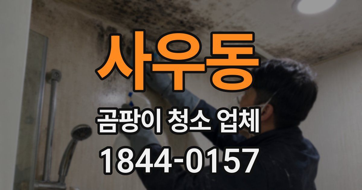 사우동 곰팡이 청소 업체