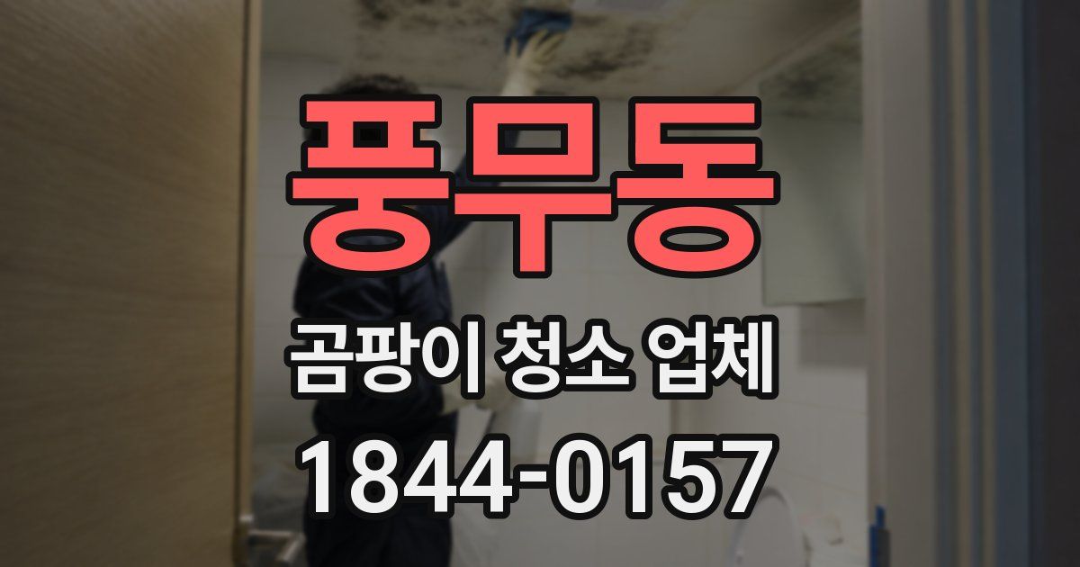 풍무동 곰팡이 청소 업체
