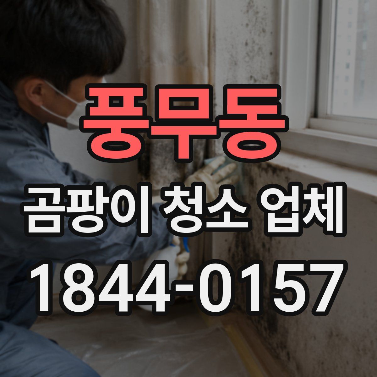 풍무동 곰팡이 청소 업체