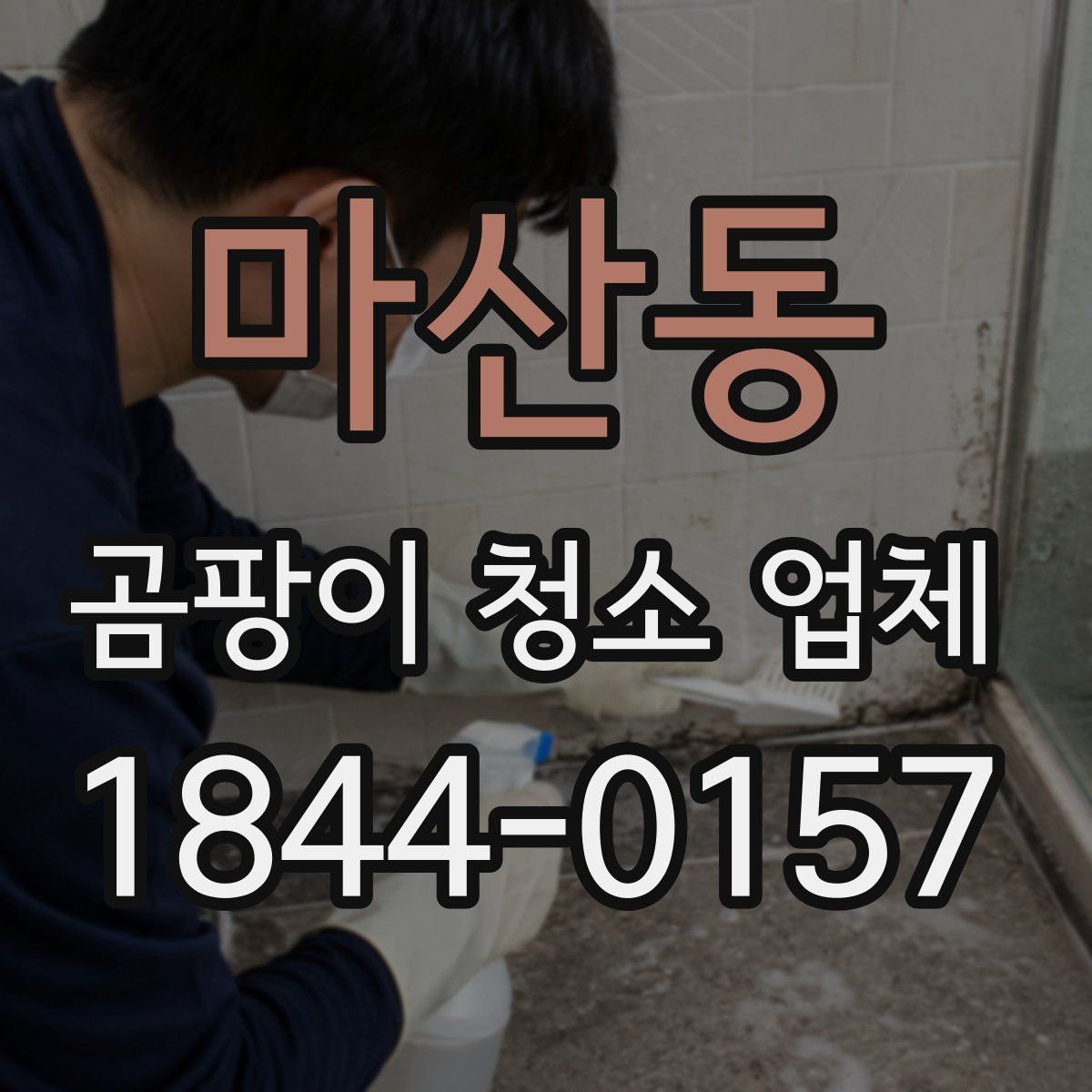 마산동 곰팡이 청소 업체