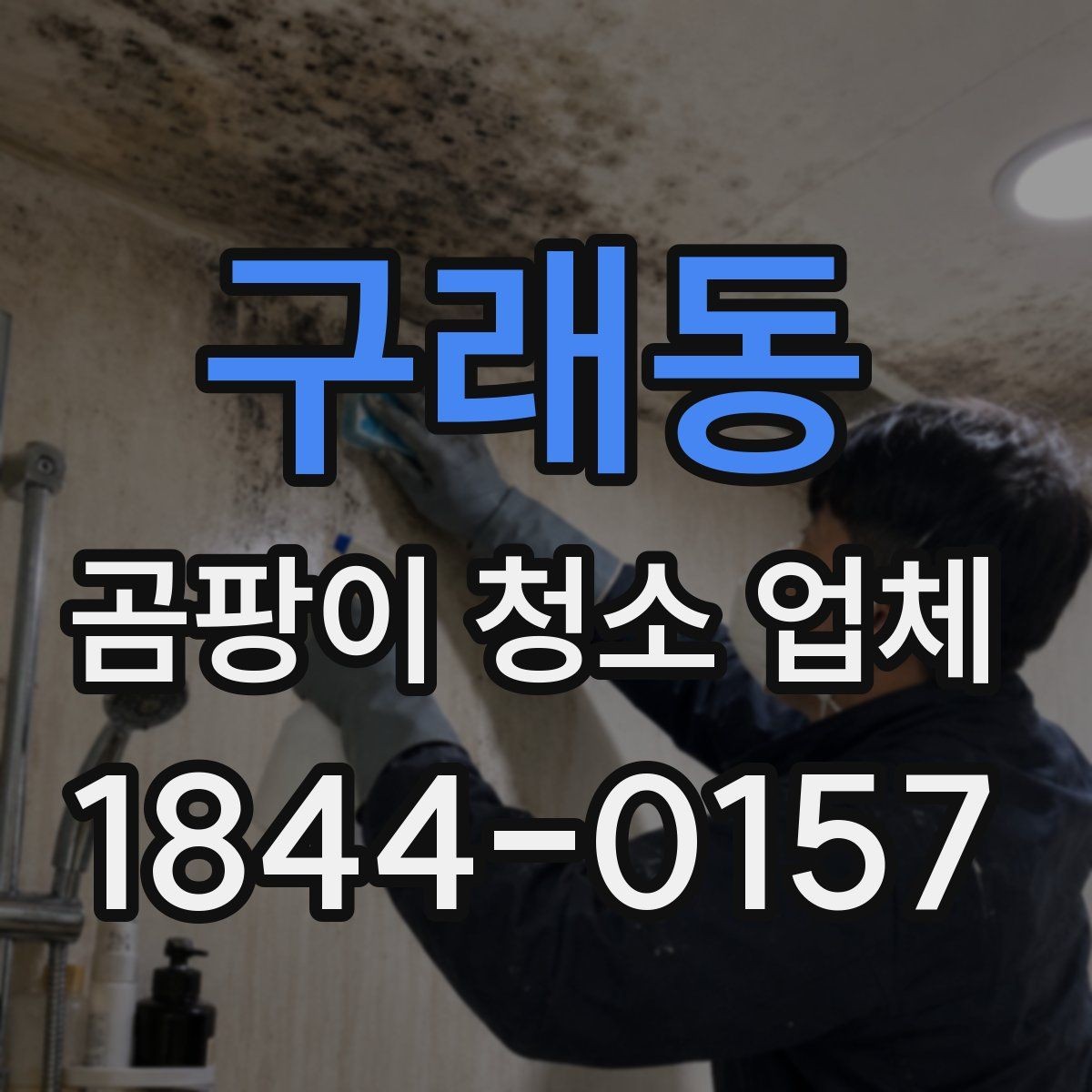 구래동 곰팡이 청소 업체 공기질 회복을 위한 사후 점검 항목