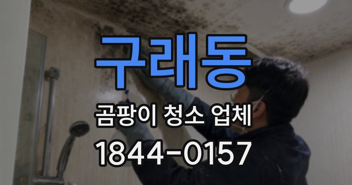 구래동 곰팡이 청소 업체