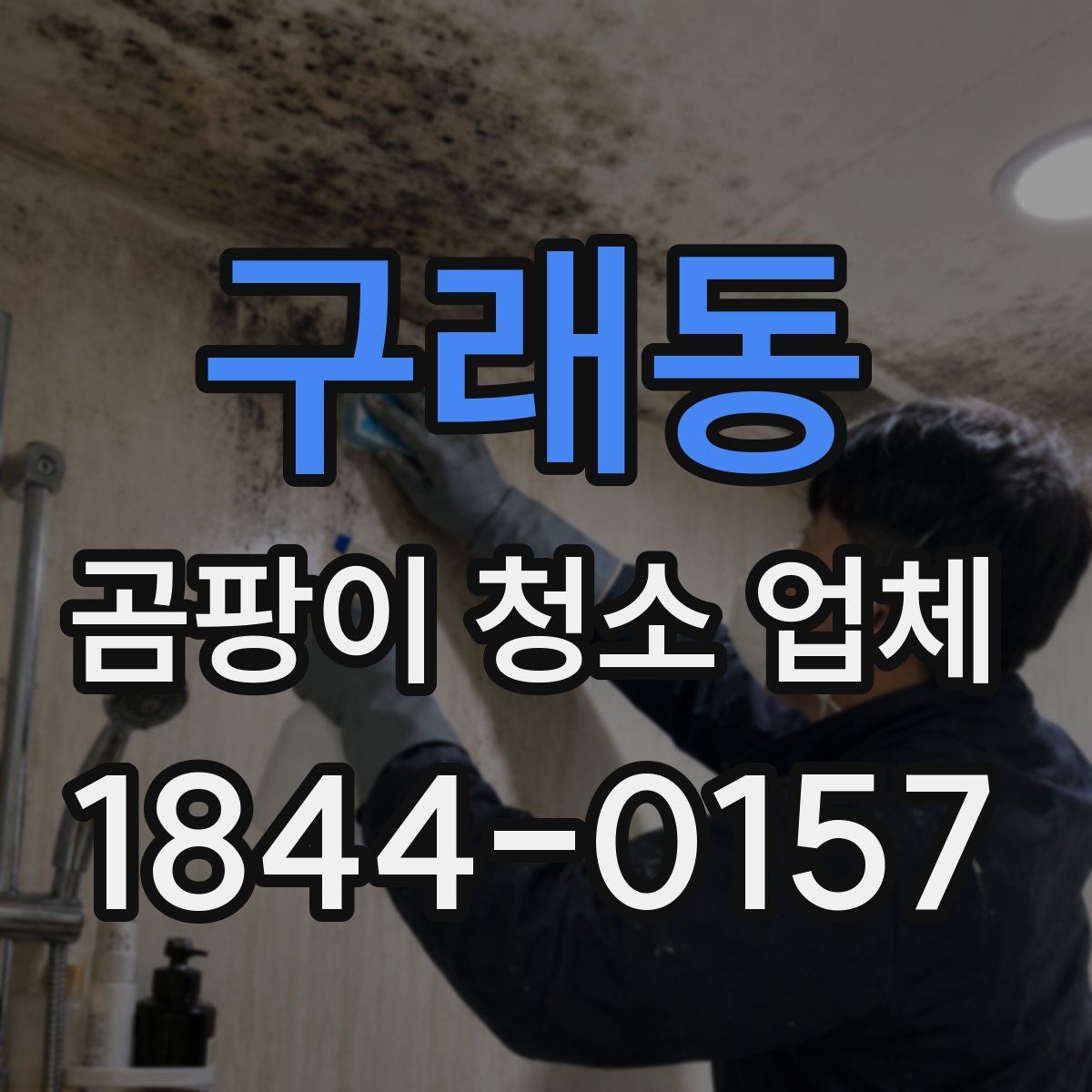 구래동 곰팡이 청소 업체