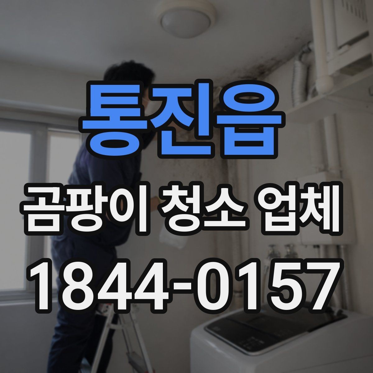 통진읍 곰팡이 청소 업체 작업 전 사진으로 남겨야 할 현장 상태