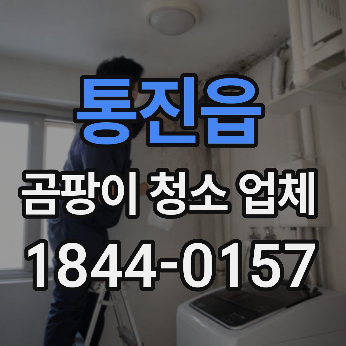 통진읍 곰팡이 청소 업체
