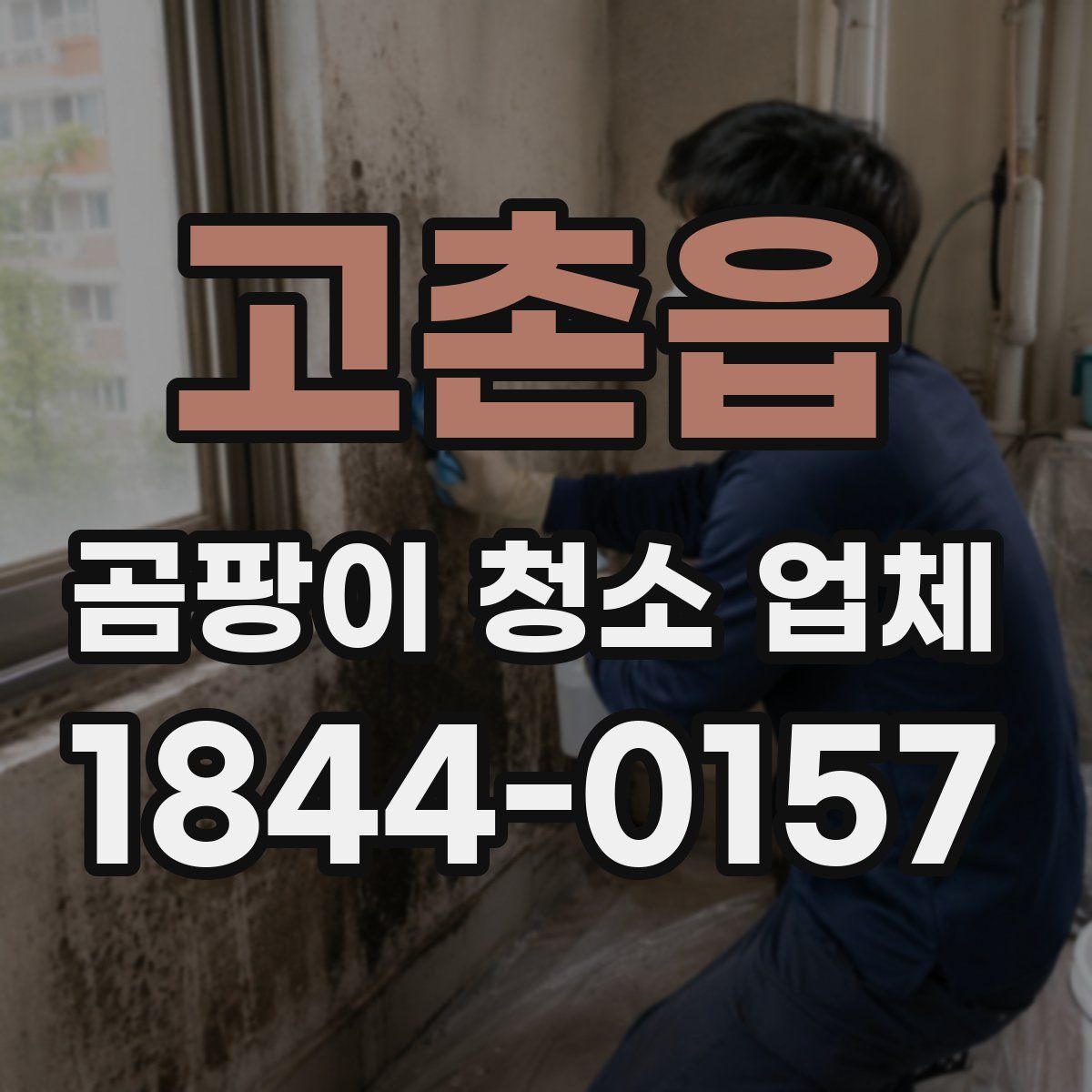 고촌읍 곰팡이 청소 업체
