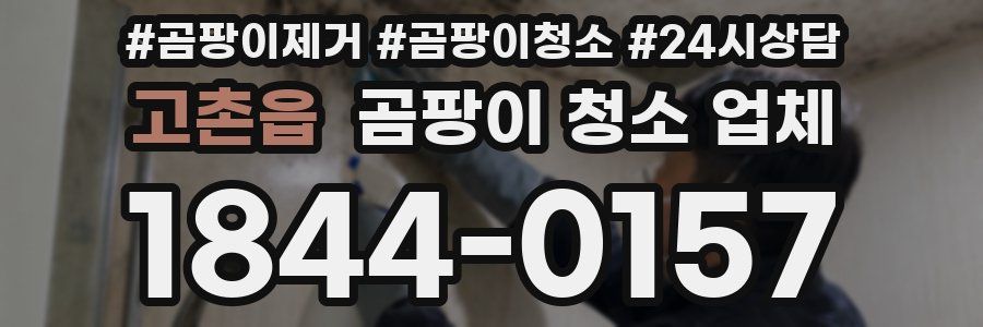 고촌읍 곰팡이 청소 업체
