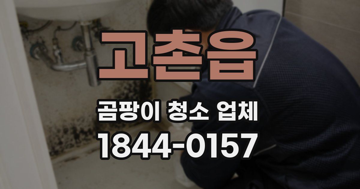 고촌읍 곰팡이 청소 업체