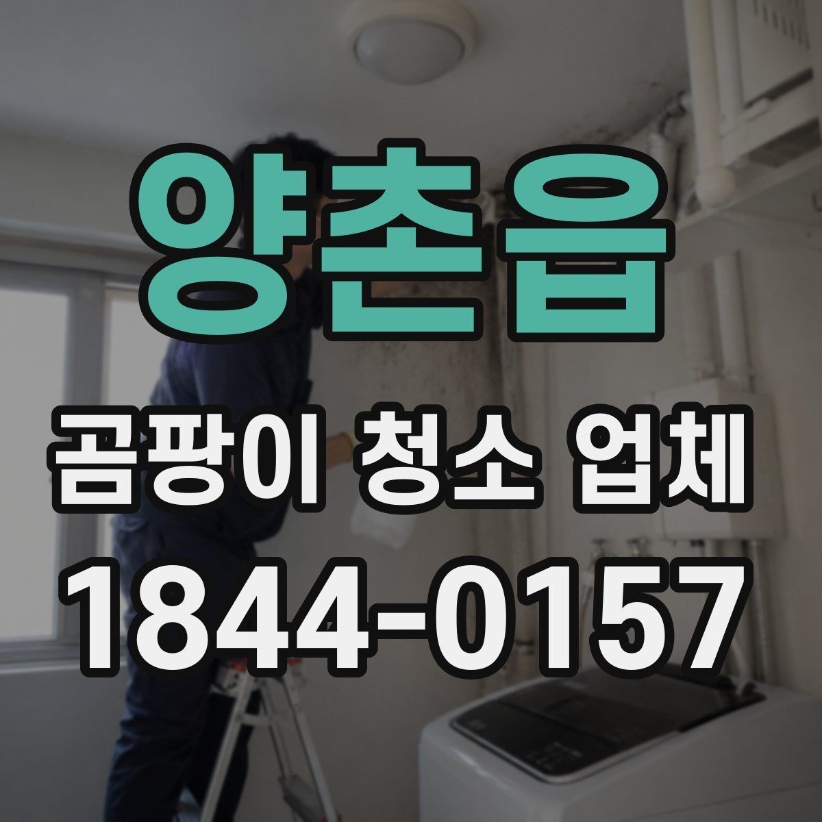 양촌읍 곰팡이 청소 업체 곰팡이 제거 후 도장 전처리 체크포인트