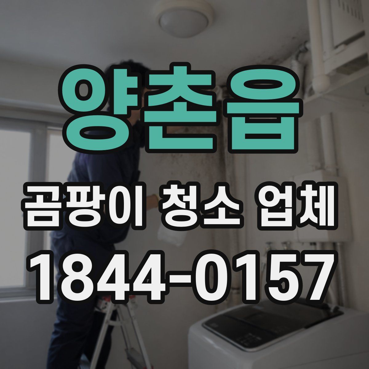 양촌읍 곰팡이 청소 업체