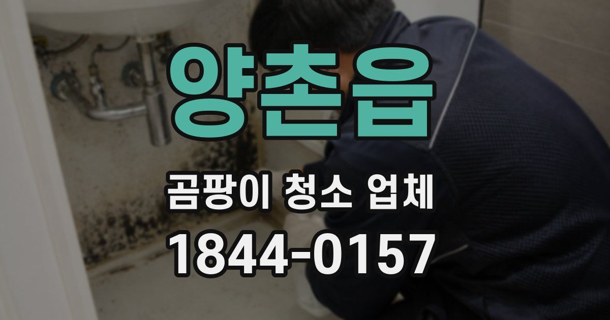 양촌읍 곰팡이 청소 업체