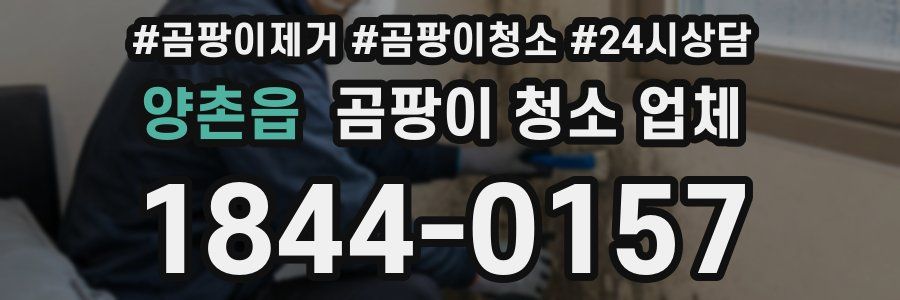 양촌읍 곰팡이 청소 업체