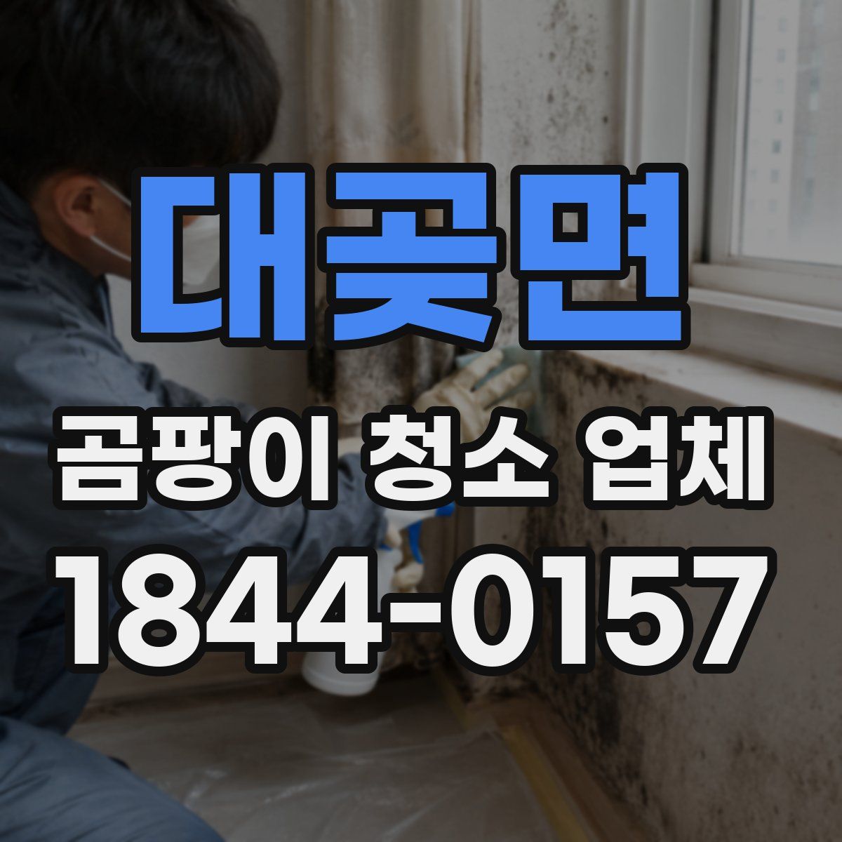 대곶면 곰팡이 청소 업체