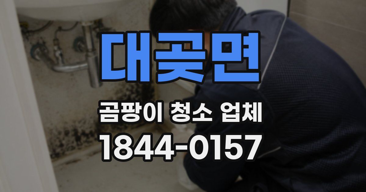 대곶면 곰팡이 청소 업체