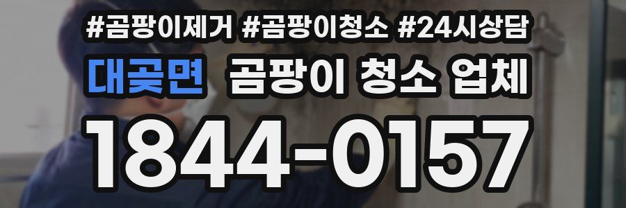 대곶면 곰팡이 청소 업체
