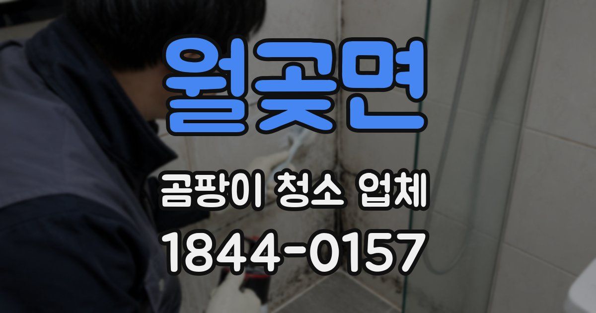 월곶면 곰팡이 청소 업체