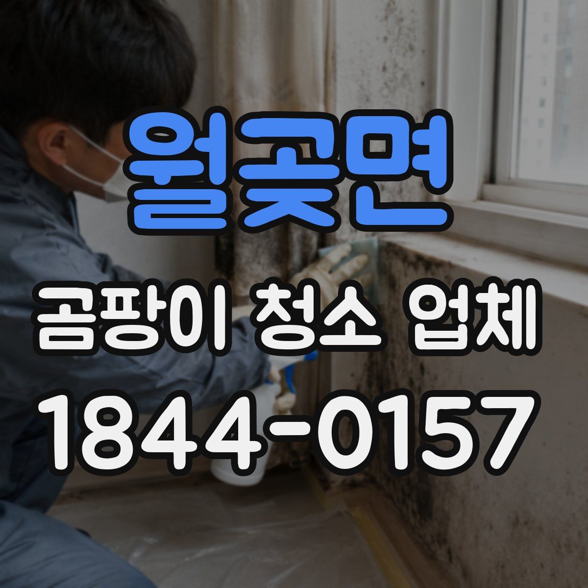 월곶면 곰팡이 청소 업체