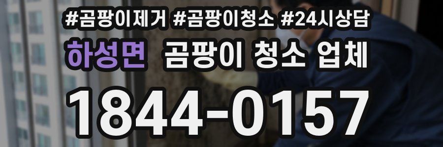 하성면 곰팡이 청소 업체