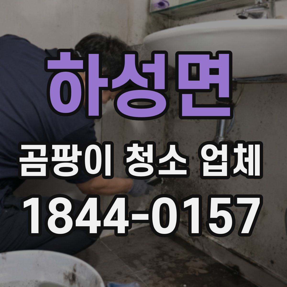 하성면 곰팡이 청소 업체