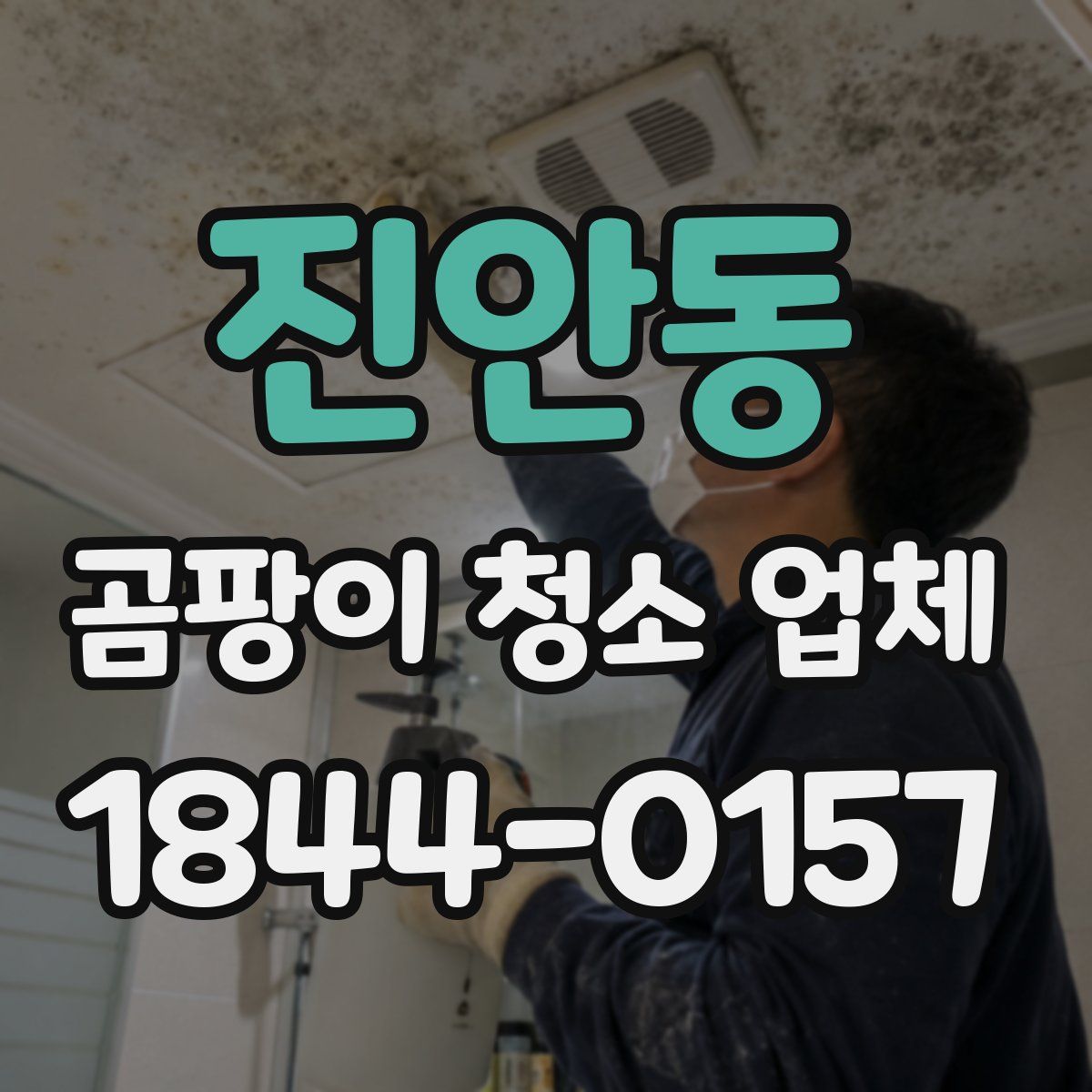 진안동 곰팡이 청소 업체