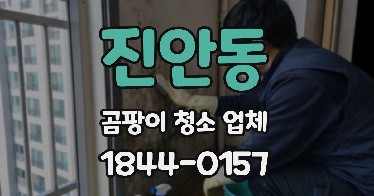 진안동 곰팡이 청소 업체