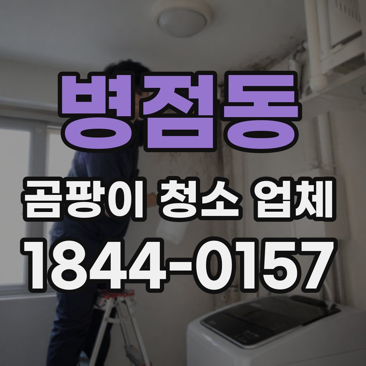 병점동 곰팡이 청소 업체