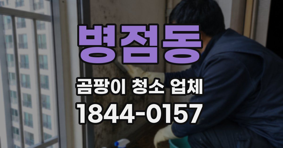 병점동 곰팡이 청소 업체