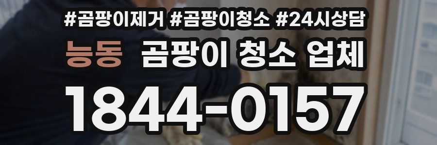 능동 곰팡이 청소 업체