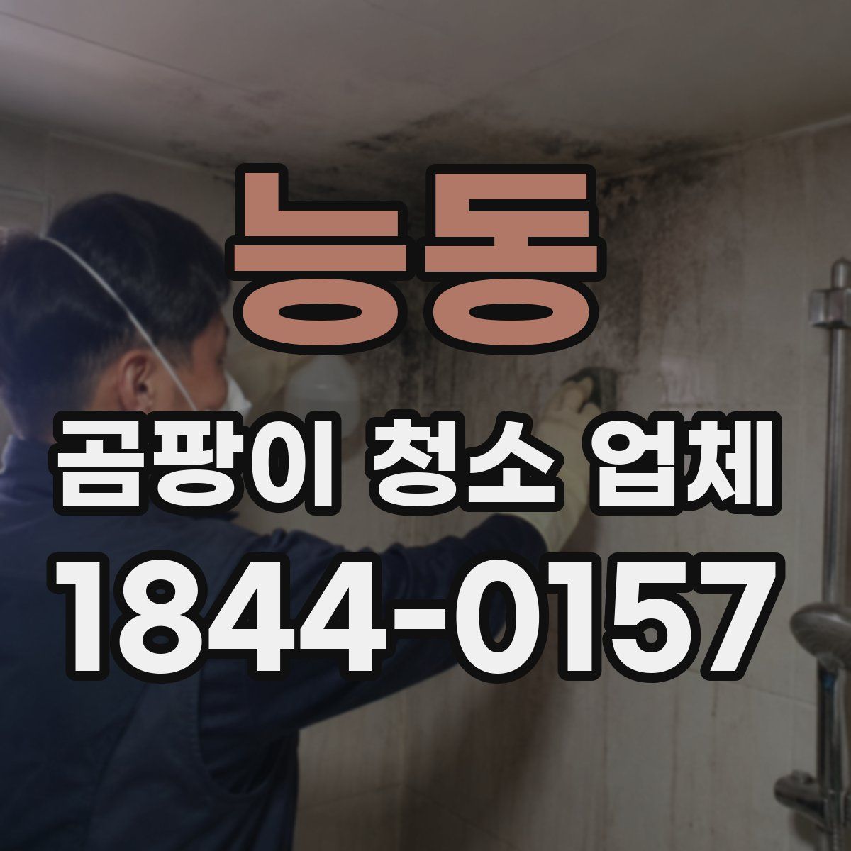 능동 곰팡이 청소 업체