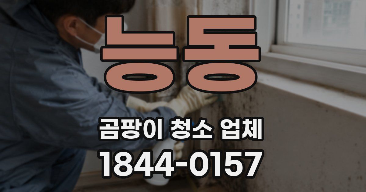 능동 곰팡이 청소 업체