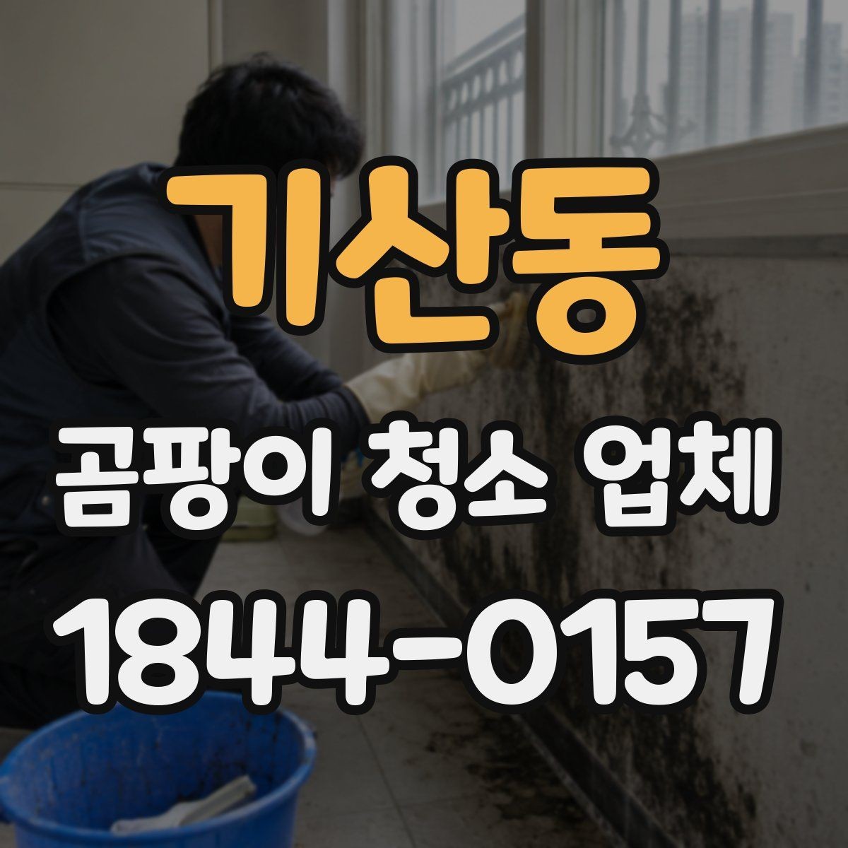 기산동 곰팡이 청소 업체 아이와 반려동물이 함께 사는 집 점검법