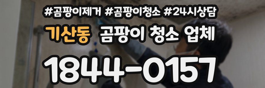 기산동 곰팡이 청소 업체