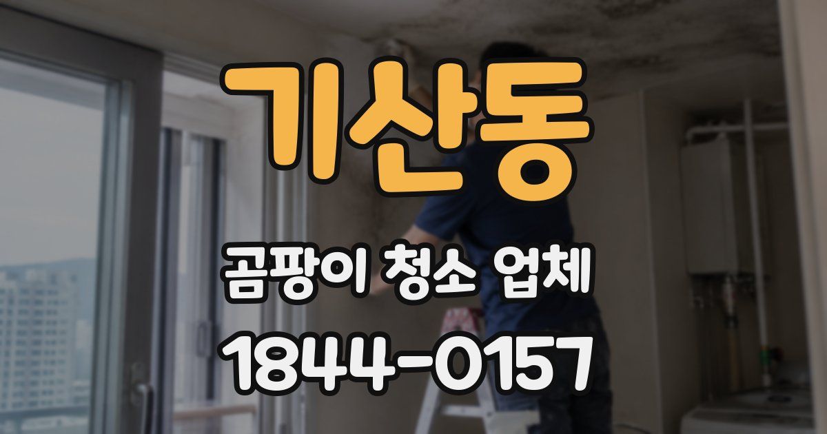 기산동 곰팡이 청소 업체