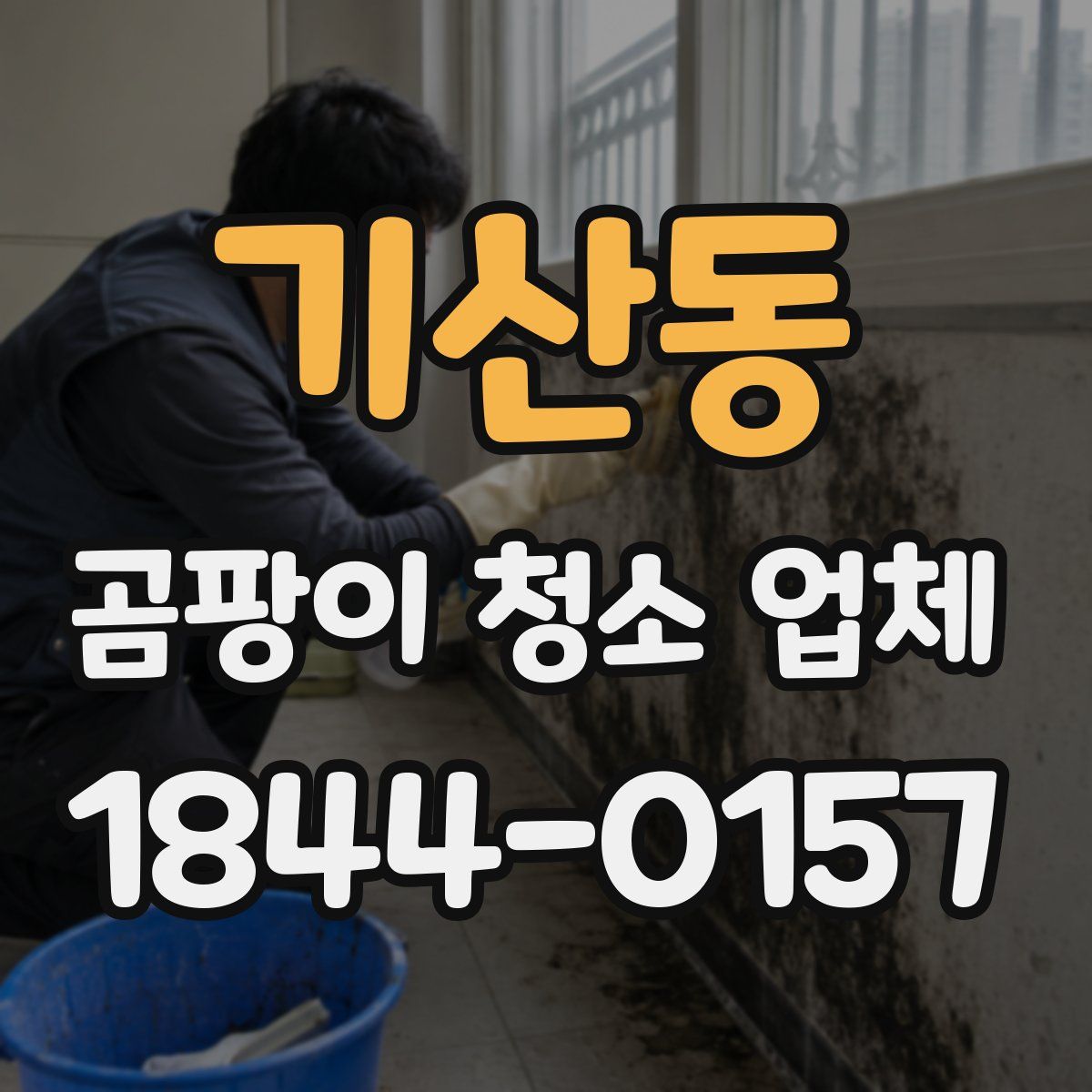 기산동 곰팡이 청소 업체