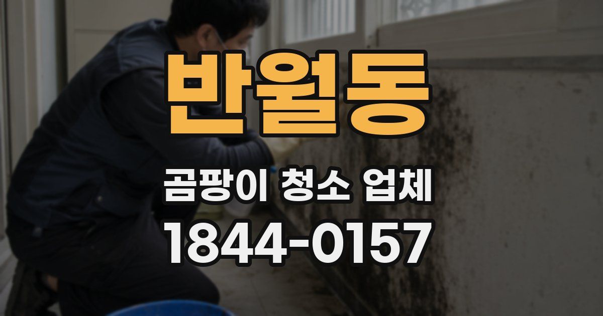 반월동 곰팡이 청소 업체