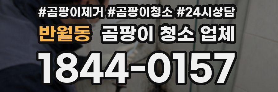 반월동 곰팡이 청소 업체