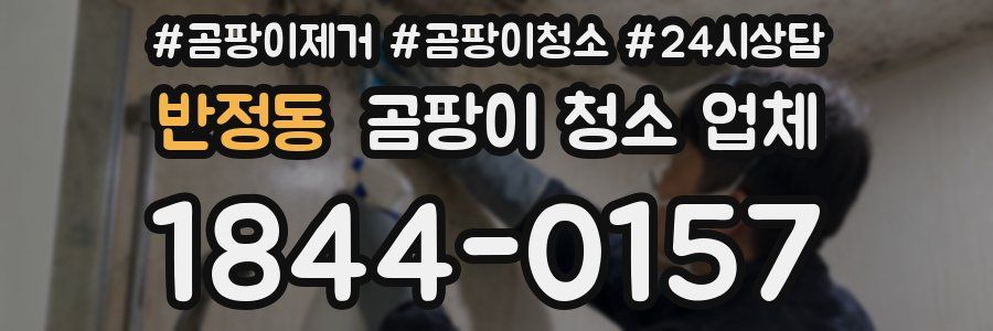 반정동 곰팡이 청소 업체