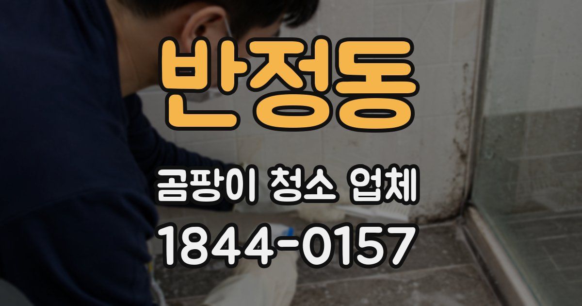 반정동 곰팡이 청소 업체