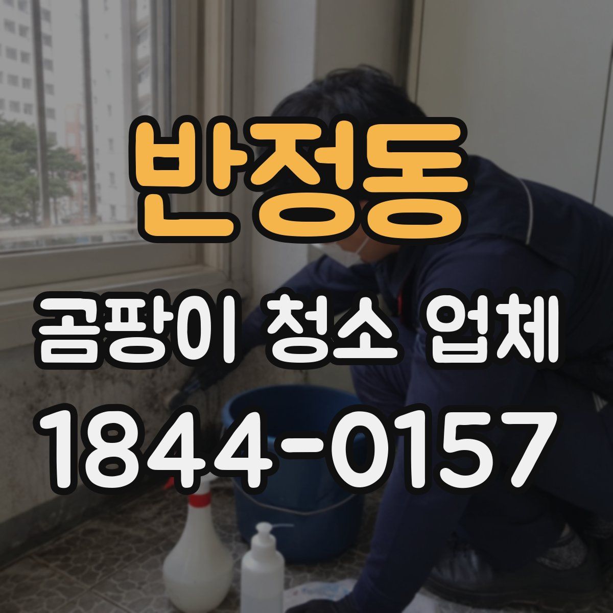 반정동 곰팡이 청소 업체