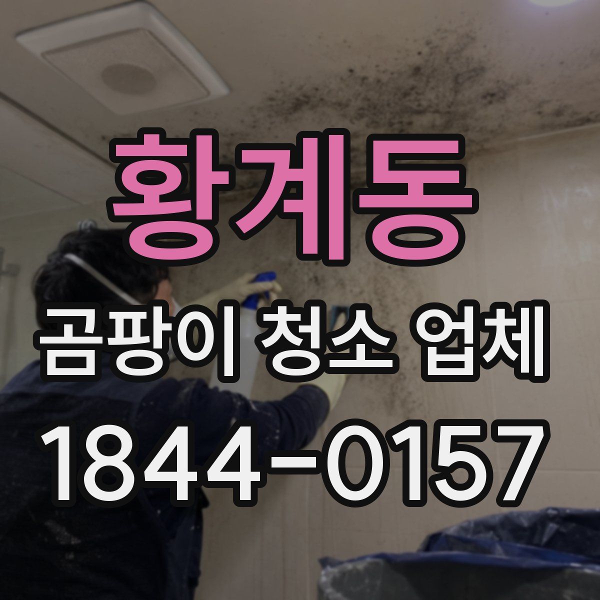 황계동 곰팡이 청소 업체