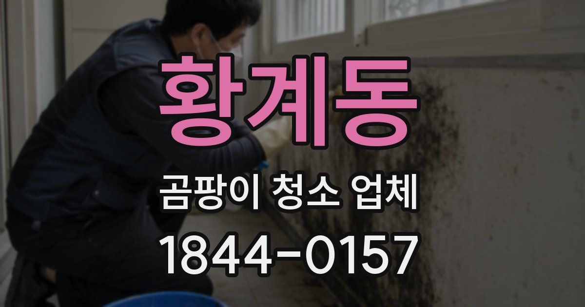 황계동 곰팡이 청소 업체