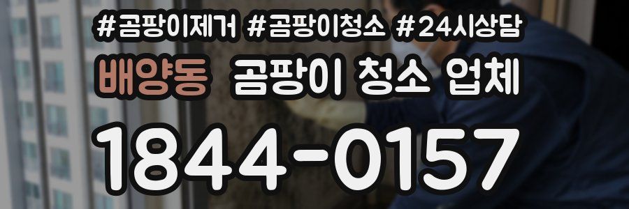 배양동 곰팡이 청소 업체