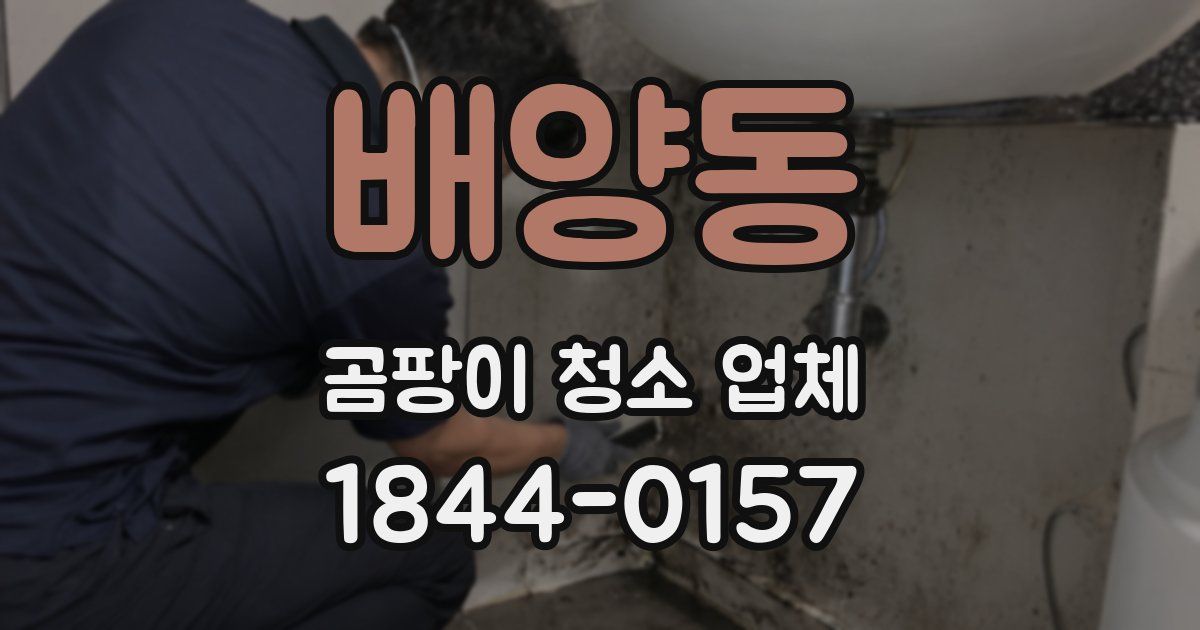 배양동 곰팡이 청소 업체
