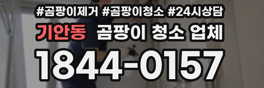기안동 곰팡이 청소 업체