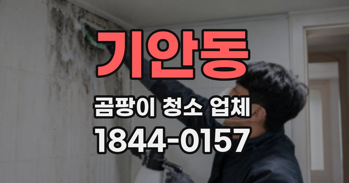 기안동 곰팡이 청소 업체