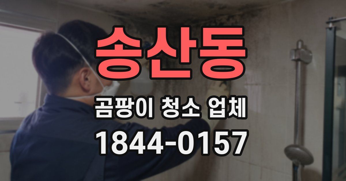 송산동 곰팡이 청소 업체